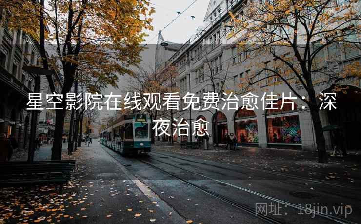 星空影院在线观看免费治愈佳片：深夜治愈